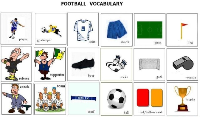 Como Se Dice Champiñón En Inglés