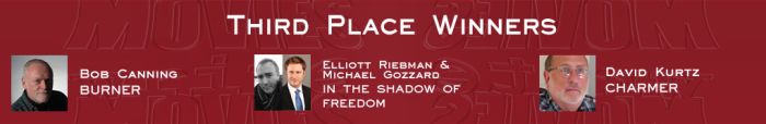 2017 third Placed Winners