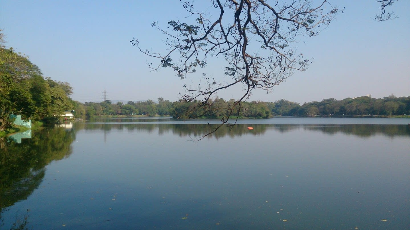 Jubilee Lake water and surrounding trees in Jamshedpur