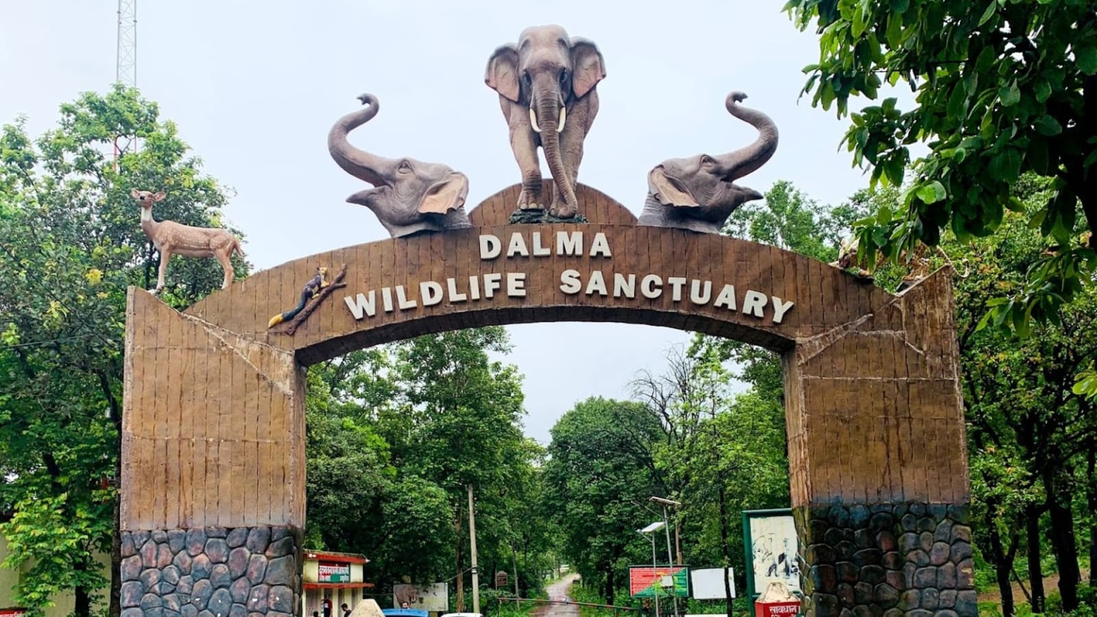 Dalma Wildlife Sanctuary entry gate photographed in June 2014; archival reference