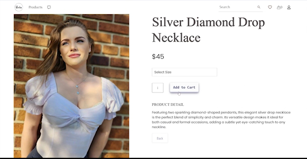 Website Design Example 5