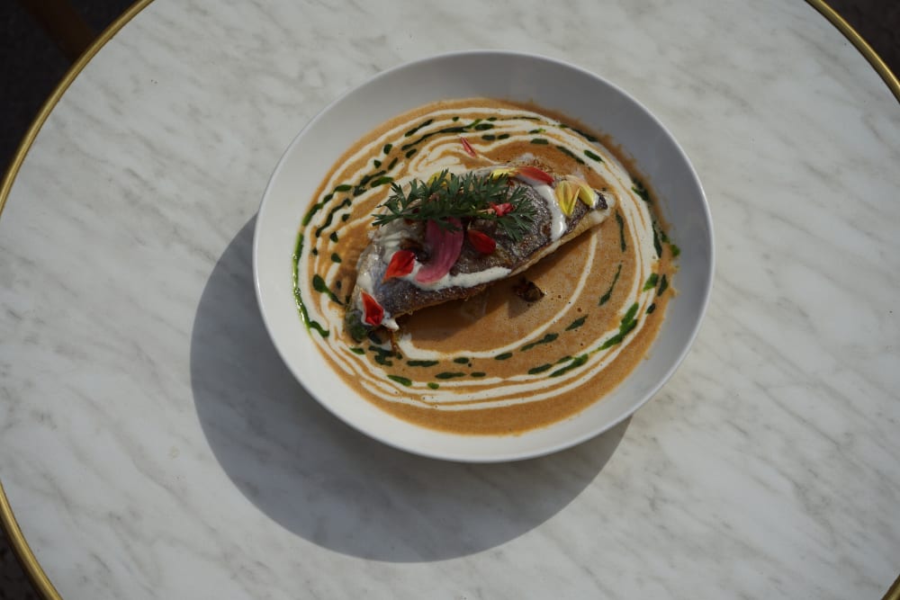 Poisson grillé, sauce beurre blanc et fleurs comestibles — Olea Marseille