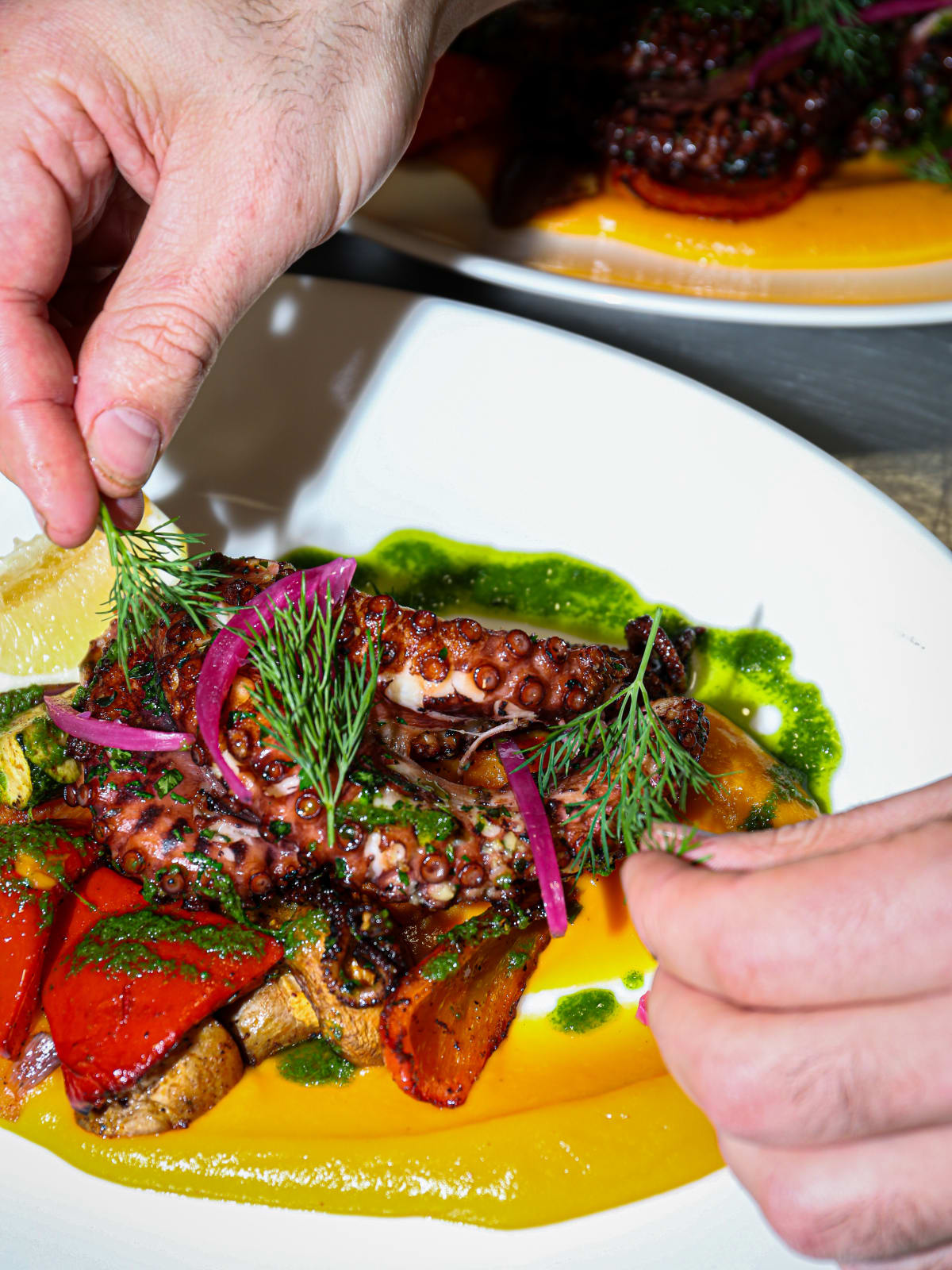 Poulpe grillé, légumes et fleur de sel — Olea Cassis