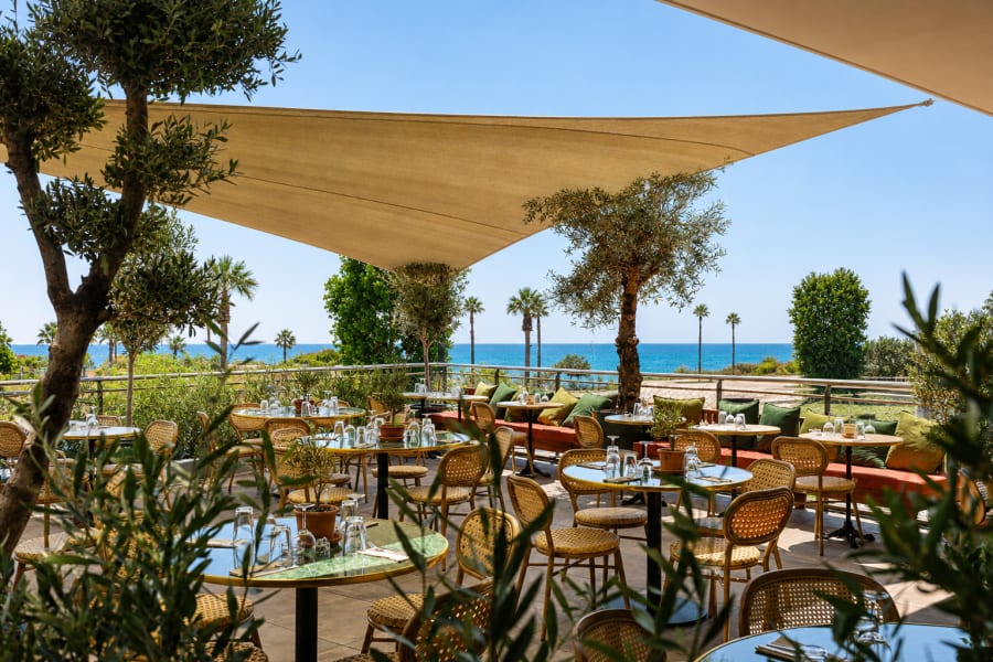 Olea Villeneuve — restaurant méditerranéen à Villeneuve-Loubet, terrasse et ambiance conviviale
