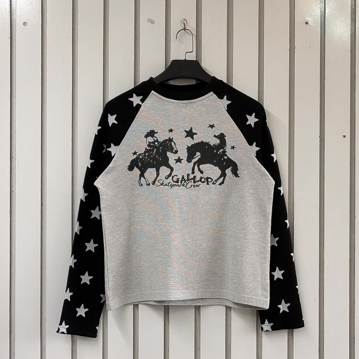 GRAPHIC LONGSLEEVE TSHIRTs
