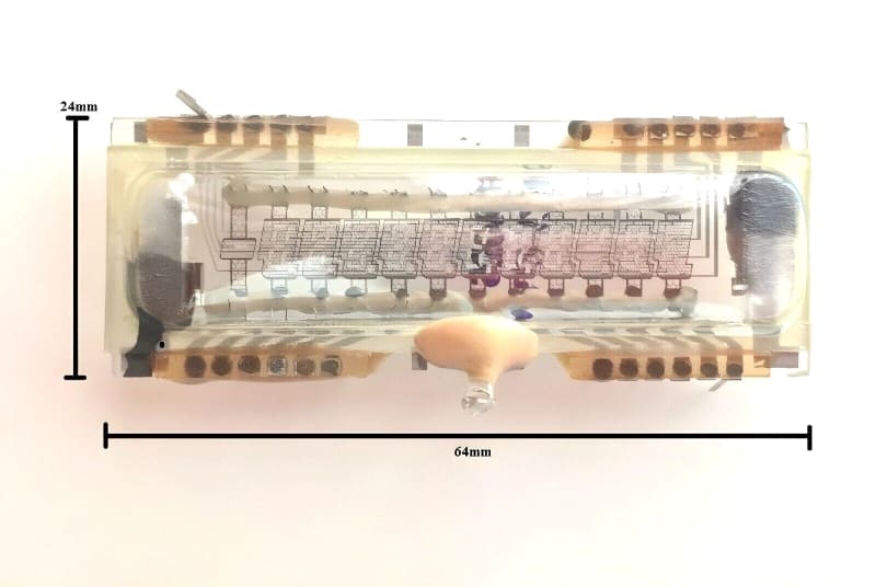 100x New ILC2-12/8L NIB VFD Nixie Tubes for Calculators Elektronika MK-33 Mk-35 - Image 2