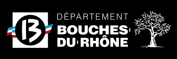 Conseil général 13