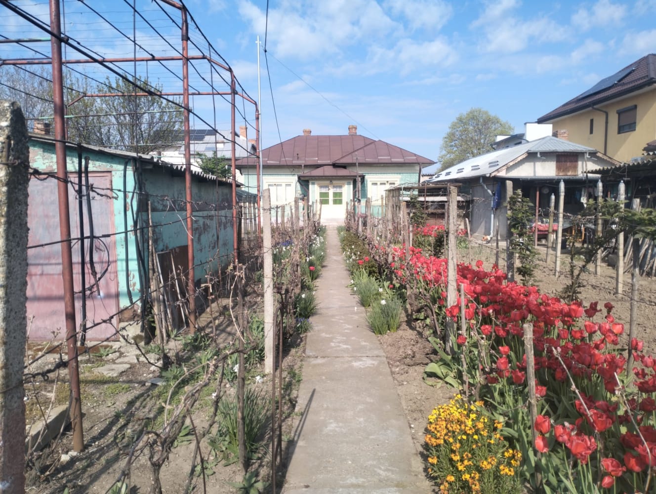 CASA DE VANZARE – fotografia 8