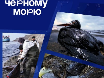 Чёрному морю нужна помощь. И мы не можем пройти мимо!