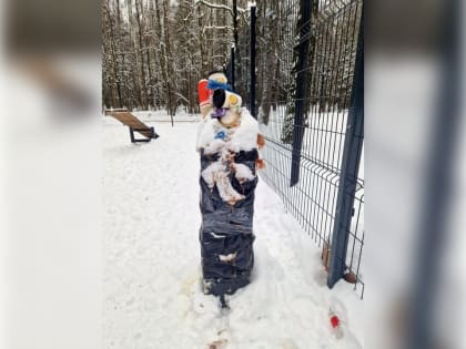 Забота о здоровье: как жители Звенигорода справляются с вызовами современности