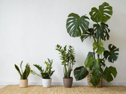 Токсичные вещества в атмосфере: угроза для здоровья жителей