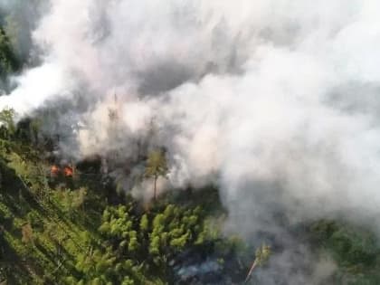 Свыше 20 лесных пожаров потушили в Подмосковье с начала мая