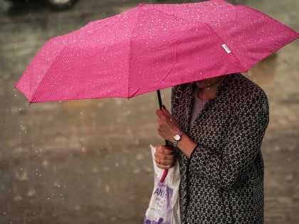 Кратковременный дождь, гроза и до 25 градусов тепла ожидается в Московском регионе 19 июня