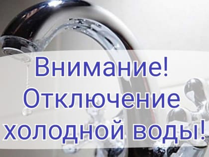 Безопасность на дорогах: акция в Лобне