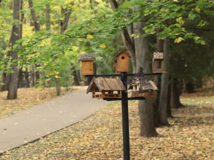 Сентябрьские сюрпризы: природа удивила жителей Подмосковья