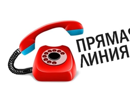 В Подмосковье пройдет «Горячая линия» по вопросам декларирования