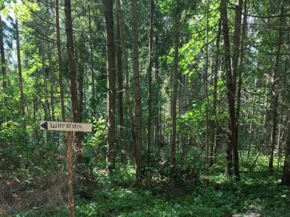 В Хотченском лесничестве установили лавочку — навигатор