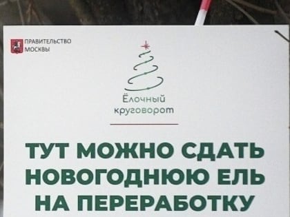 Елочный круговорот