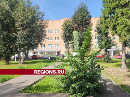 Новые инициативы по улучшению городской инфраструктуры