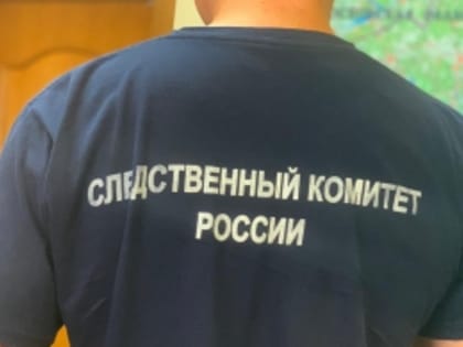 В Московской области возбуждено уголовное дело в отношении местного жителя, подозреваемого в совершении преступления экстремистской направленности