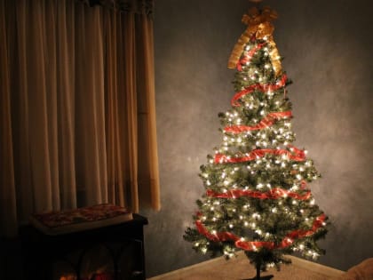 Жители Звенигорода смогут сдать новогодние елки на переработку рядом с домом