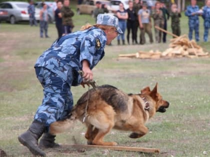 Уникальный фестиваль «Ко мне, Мухтар!» пройдет в Кашире
