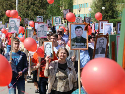 Волоколамцев информируют: в подмосковных МФЦ можно бесплатно распечатать портреты ветеранов для «Бессмертного полка»