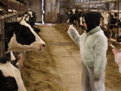 На ферме в Башкино побывали школьники Новольховской школы