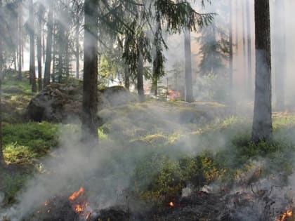 В Ярославской области продлили особый противопожарный режим