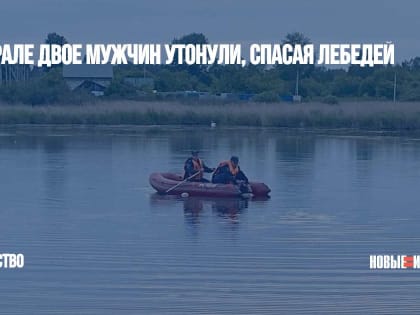 На Урале двое мужчин утонули, спасая лебедей