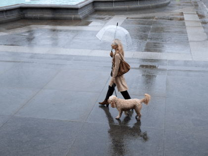 Погода в Москве: осень приносит дожди и похолодание