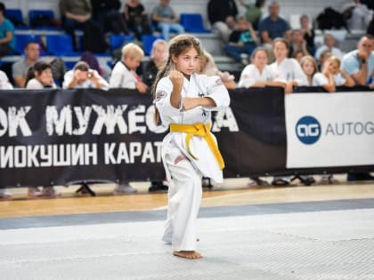 Королев: достижения и планы на будущее