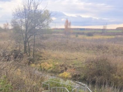 Благоустройство в Аргуново: новый подход к роднику