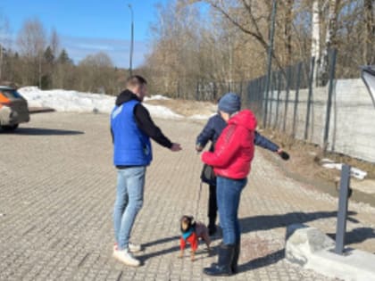В Лобне владельцам собак раздают пакеты для уборки за питомцами
