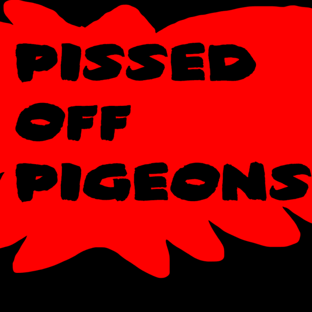 Pissed Off Pigeons