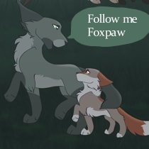 Episode-21: - StarClan's Curse Chapter 2 Page 21 of StarClan's Curse, a Warrior Cats fanfiction comic. 