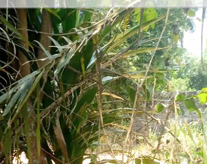 Land at Abia · Abia · Listing photo 1 of 1
