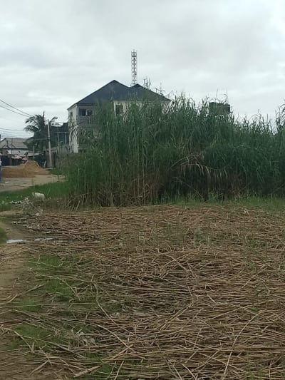 Land at Langbasa, Ajah, Lagos