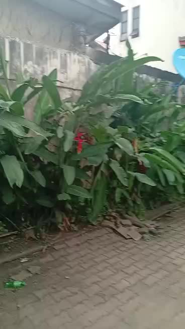 A plot of Land at Computer Village, Ikeja, Lagos
