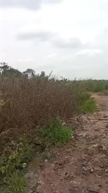 Industrial at Orile, Alimosho, Lagos