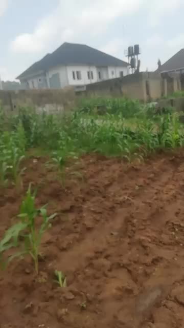 800 sqm Land at Lagos