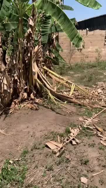 Land at Ibadan, Oyo