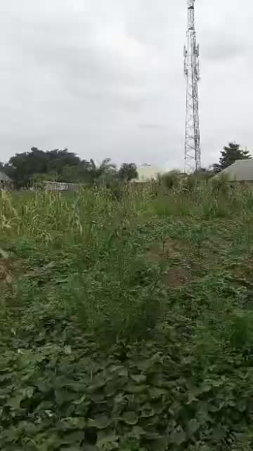 Land at Ilorin, Kwara