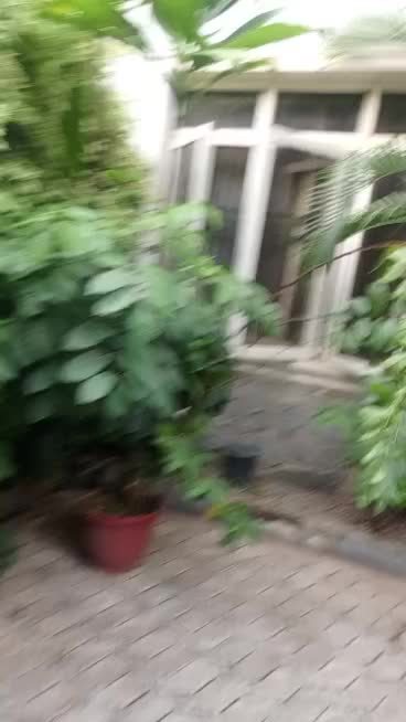 500 sqm 5 Bed Semi detached at Abuja, FCT