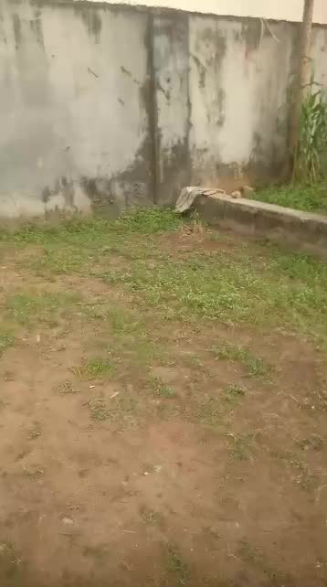 Apartment at Igando, Alimosho, Lagos