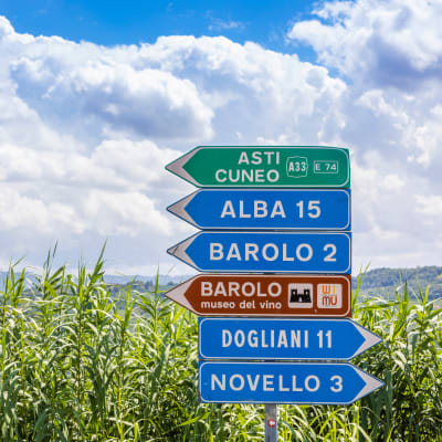 Piemonte - Barbaresco, Barbera & Barolo