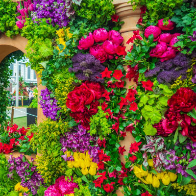Englands hage & Chelsea Flower Show