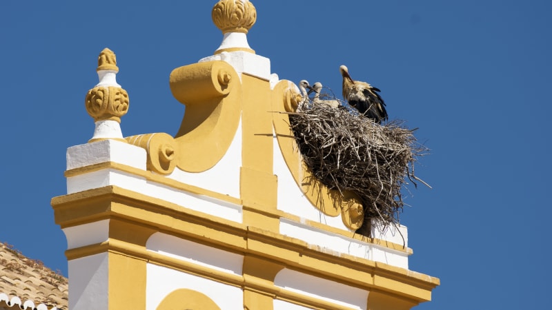 Fra Alvor til Portimão