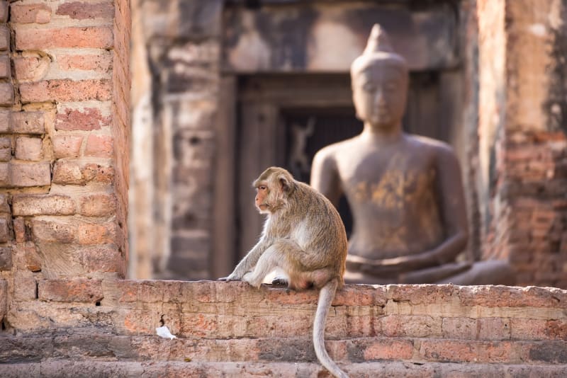 Ayutthaya - Phitsanulok