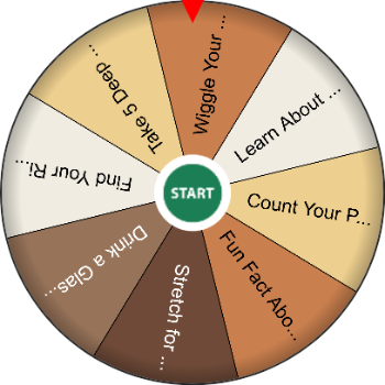 🧠 Human Body Explorer - Spinzywheel 🩺